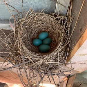 Meet your Posher, Gina